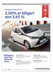 Síða 8