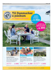 Síða 11