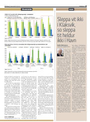 Síða 19