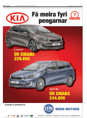 Síða 32