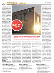 Síða 20