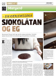 Síða 22