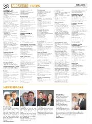 Síða 38
