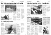 Síða 4