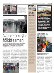 Síða 17