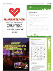 Síða 19