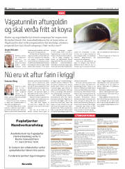 Síða 20