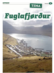 Síða 41