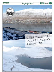 Síða 43