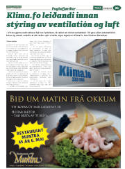 Síða 53