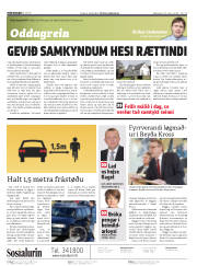 Síða 2