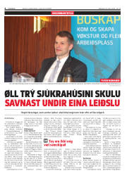 Síða 4