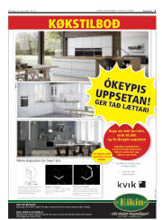 Síða 5