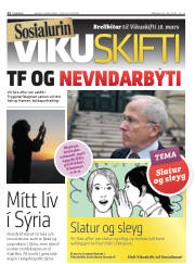 Síða 12