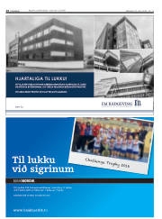 Síða 14