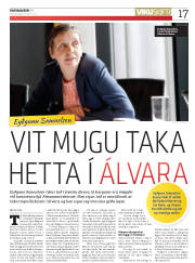 Síða 17