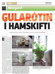 Síða 18