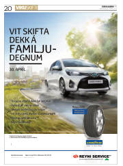Síða 20