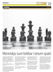 Síða 23