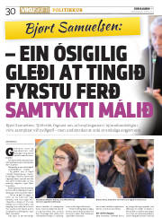 Síða 30