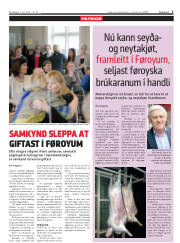 Síða 5