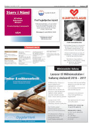 Síða 19