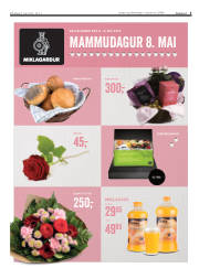 Síða 3