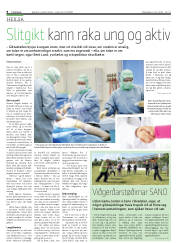 Síða 8