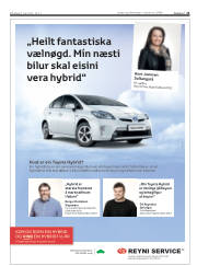 Síða 21