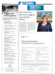 Síða 28