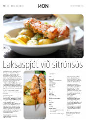Síða 46