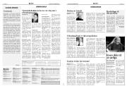 Síða 6
