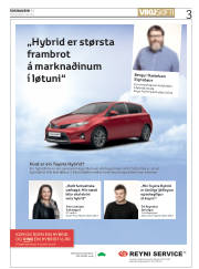 Síða 3