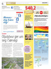 Síða 4