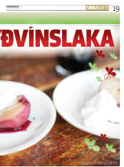 Síða 19