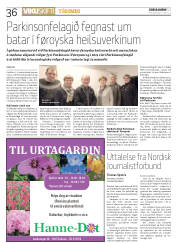 Síða 36