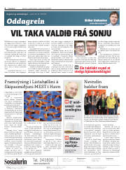 Síða 2