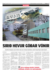 Síða 5