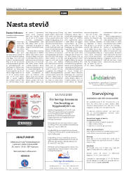 Síða 11