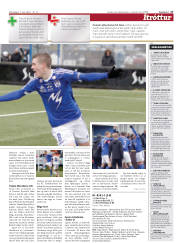 Síða 17