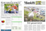 Síða 12