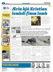 Síða 26