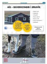 Síða 39