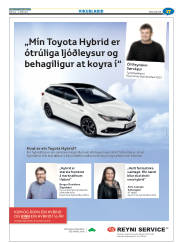Síða 41