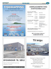 Síða 43