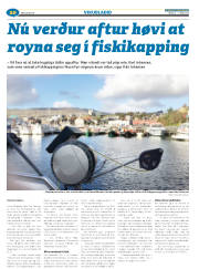 Síða 44