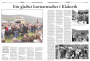 Síða 15