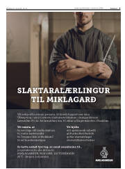 Síða 5