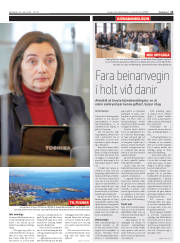 Síða 11