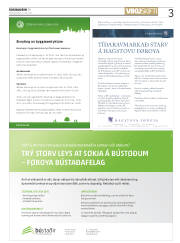 Síða 3